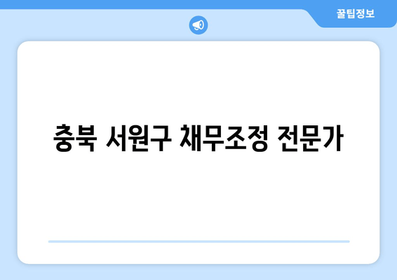 충북 서원구 채무조정 전문가