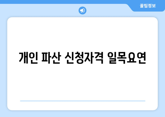 개인 파산 신청자격 일목요연