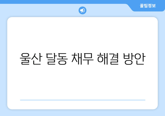 울산 달동 채무 해결 방안