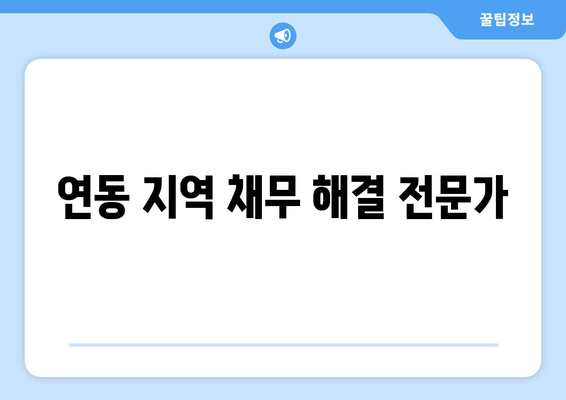 연동 지역 채무 해결 전문가