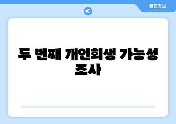 두 번째 개인회생 가능성 조사