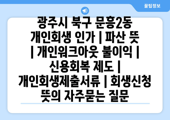 광주시 북구 문흥2동 개인회생 인가 | 파산 뜻 | 개인워크아웃 불이익 | 신용회복 제도 | 개인회생제출서류 | 회생신청 뜻