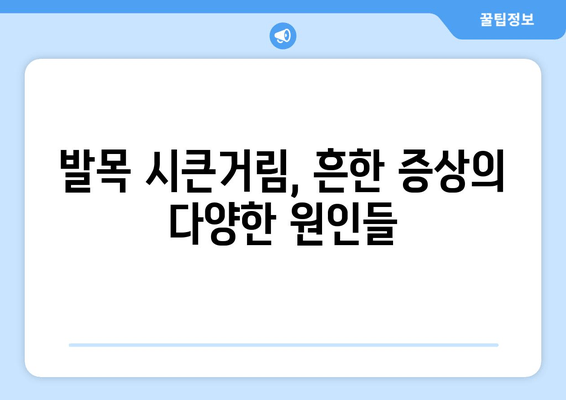 발목 시큰거림과 통증, 그 원인을 파헤쳐 보세요 | 발목 통증, 시큰거림, 원인 분석, 치료