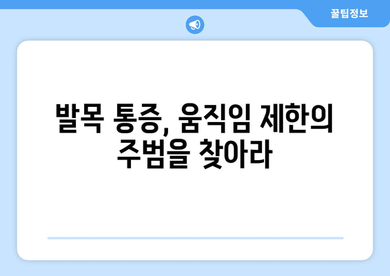 발목 시큰거림과 통증, 그 원인을 파헤쳐 보세요 | 발목 통증, 시큰거림, 원인 분석, 치료