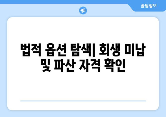 법적 옵션 탐색| 회생 미납 및 파산 자격 확인