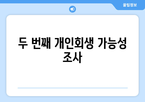 두 번째 개인회생 가능성 조사