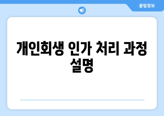 개인회생 인가 처리 과정 설명