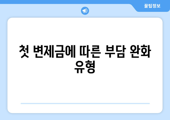 첫 변제금에 따른 부담 완화 유형