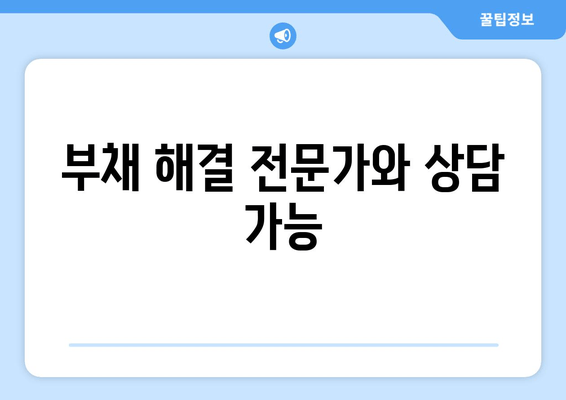 부채 해결 전문가와 상담 가능