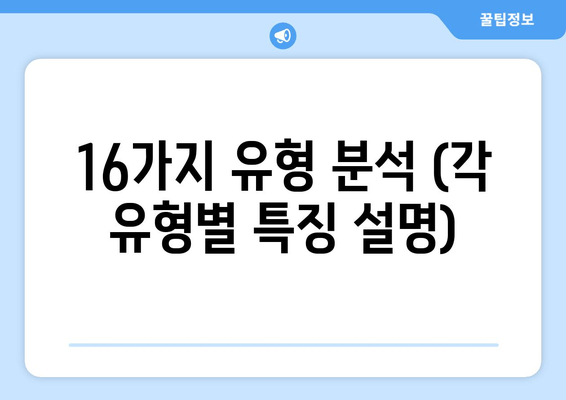 16가지 유형 분석 (각 유형별 특징 설명)