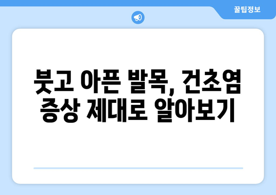 발목 건초염 극복을 위한 완벽 가이드| 증상, 원인, 치료 및 예방 | 발목 통증, 운동, 재활, 건강