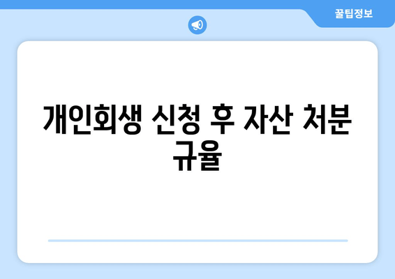 개인회생 신청 후 자산 처분 규율