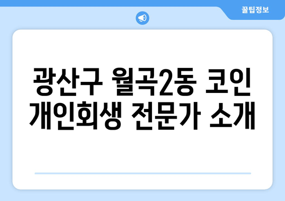 광산구 월곡2동 코인 개인회생 전문가 소개