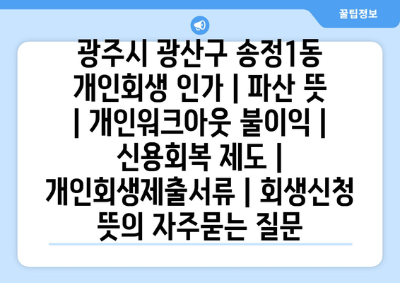 광주시 광산구 송정1동 개인회생 인가 | 파산 뜻 | 개인워크아웃 불이익 | 신용회복 제도 | 개인회생제출서류 | 회생신청 뜻