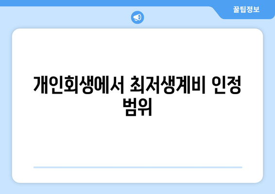 개인회생에서 최저생계비 인정 범위