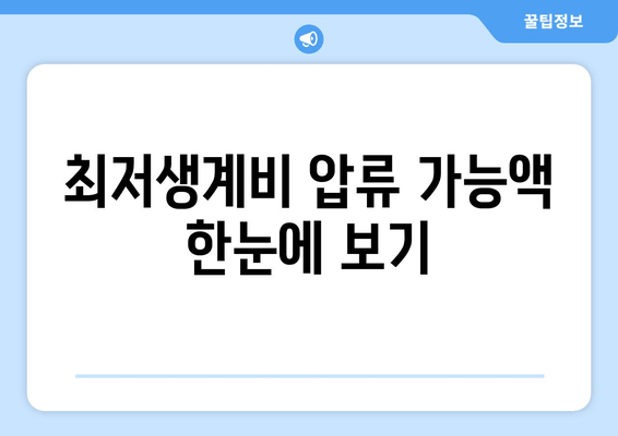 최저생계비 압류 가능액 한눈에 보기