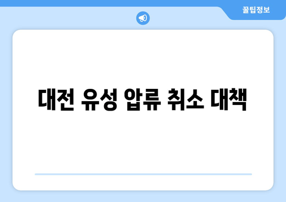 대전 유성 압류 취소 대책