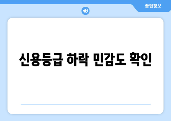 신용등급 하락 민감도 확인