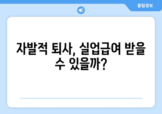 자발적 퇴사 후 실업급여 받을 수 있을까요? | 조건, 신청 방법, 주의 사항 완벽 정리