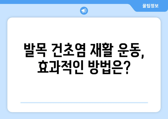 발목 건초염, 운동과 함께 이겨내세요! | 발목 건초염 운동, 주의사항, 권장 운동, 재활