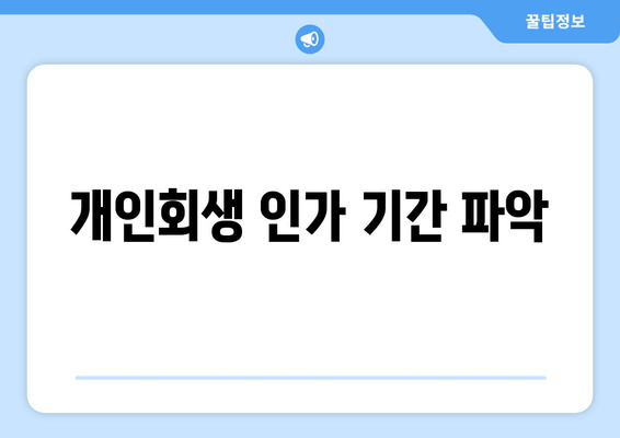 개인회생 인가 기간 파악