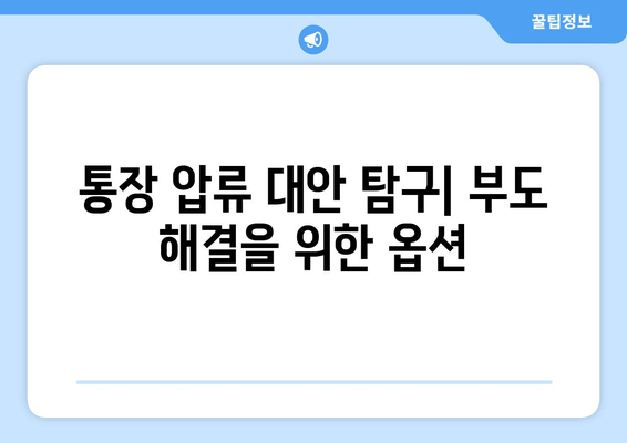 통장 압류 대안 탐구| 부도 해결을 위한 옵션