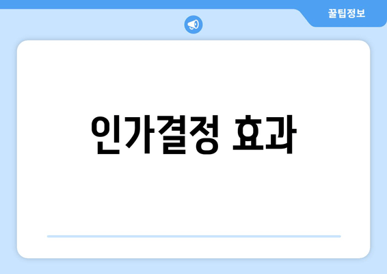 인가결정 효과