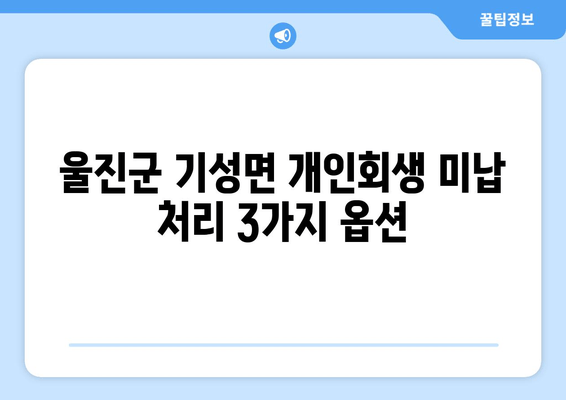 울진군 기성면 개인회생 미납 처리 3가지 옵션