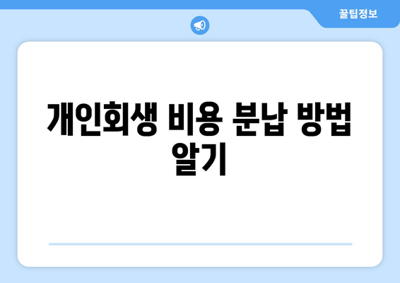 개인회생 비용 분납 방법 알기