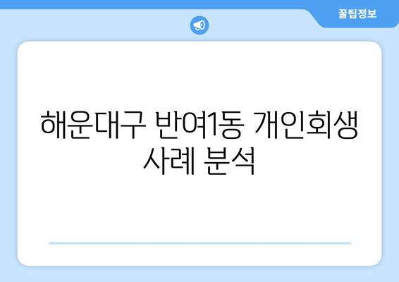 해운대구 반여1동 개인회생 사례 분석