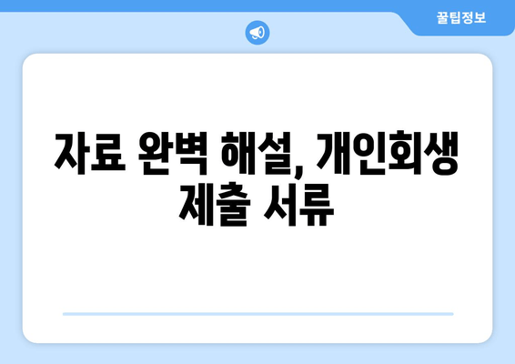 자료 완벽 해설, 개인회생 제출 서류