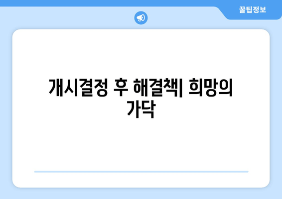 개시결정 후 해결책| 희망의 가닥