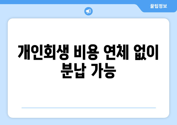 개인회생 비용 연체 없이 분납 가능