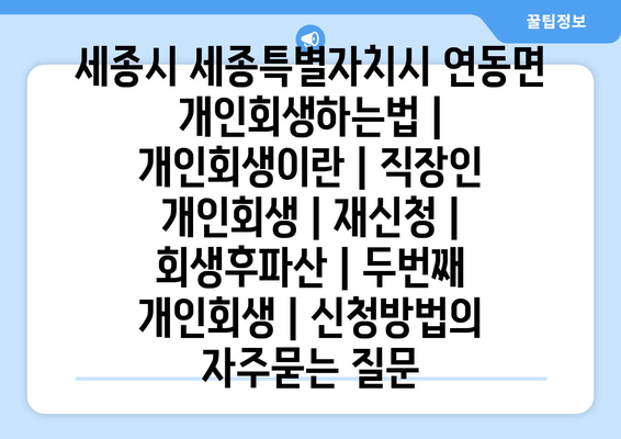 세종시 세종특별자치시 연동면 개인회생하는법 | 개인회생이란 | 직장인 개인회생 | 재신청 | 회생후파산 | 두번째 개인회생 | 신청방법