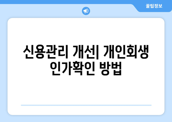 신용관리 개선| 개인회생 인가확인 방법