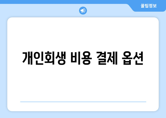 개인회생 비용 결제 옵션