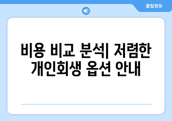 비용 비교 분석| 저렴한 개인회생 옵션 안내