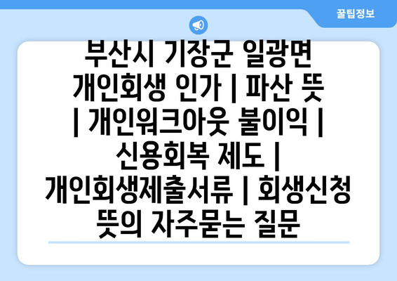 부산시 기장군 일광면 개인회생 인가 | 파산 뜻 | 개인워크아웃 불이익 | 신용회복 제도 | 개인회생제출서류 | 회생신청 뜻