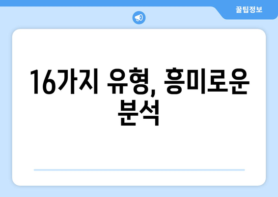 16가지 유형, 흥미로운 분석