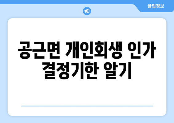 공근면 개인회생 인가 결정기한 알기