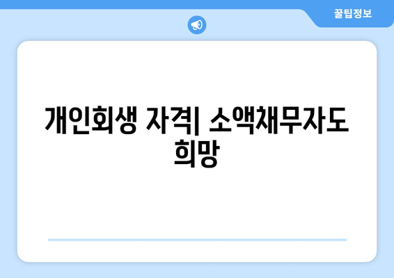 개인회생 자격| 소액채무자도 희망