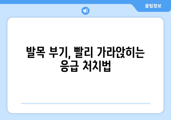 발목 건초증으로 인한 부기, 이렇게 관리하고 줄여보세요! | 발목 건초증, 발목 부기, 통증 완화, 치료, 운동, 재활