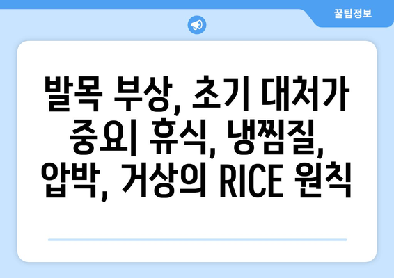 발목 부음, 염좌, 아킬레스건염? 원인과 대처법 완벽 가이드 | 발목 통증, 부상, 치료, 운동