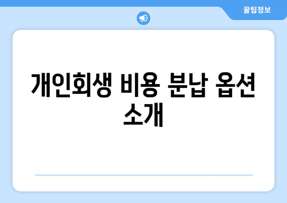 개인회생 비용 분납 옵션 소개