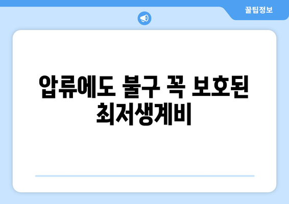 압류에도 불구 꼭 보호된 최저생계비