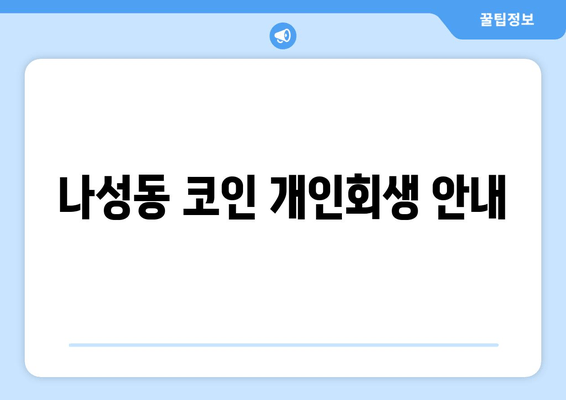 나성동 코인 개인회생 안내