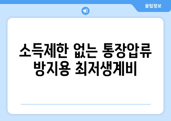 소득제한 없는 통장압류 방지용 최저생계비