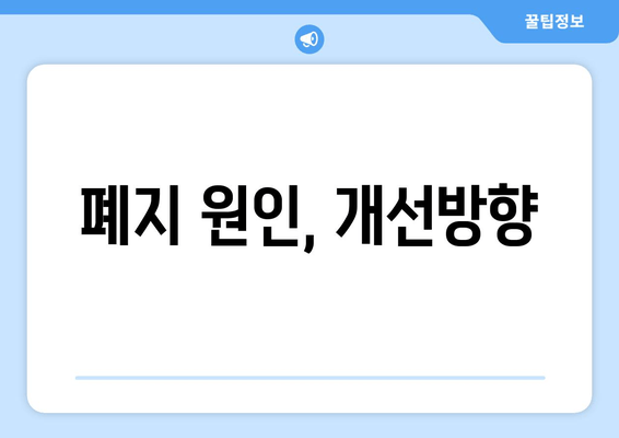 폐지 원인, 개선방향