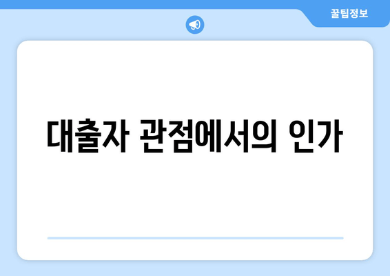 대출자 관점에서의 인가