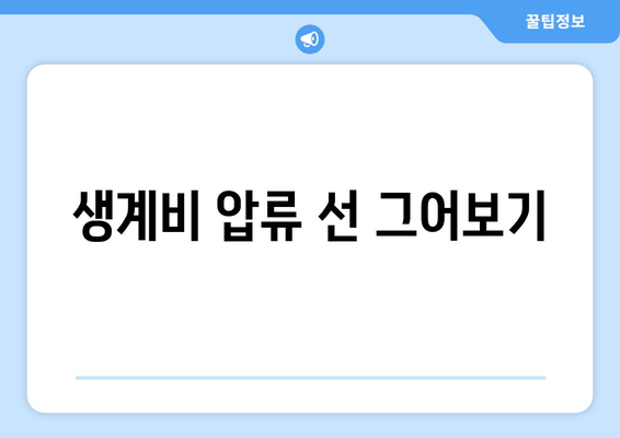 생계비 압류 선 그어보기